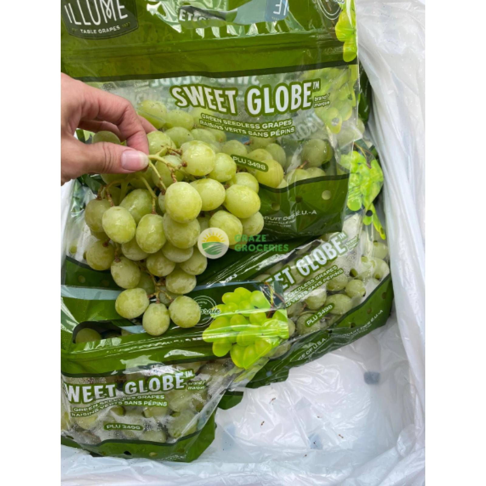 USA ILLUME Sweet Globe Green Seedless Grapes usa-illume-sweet-globe-green-seedless-grapes